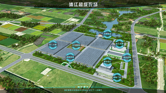 浦江超级农场：科技赋能让种植更高效