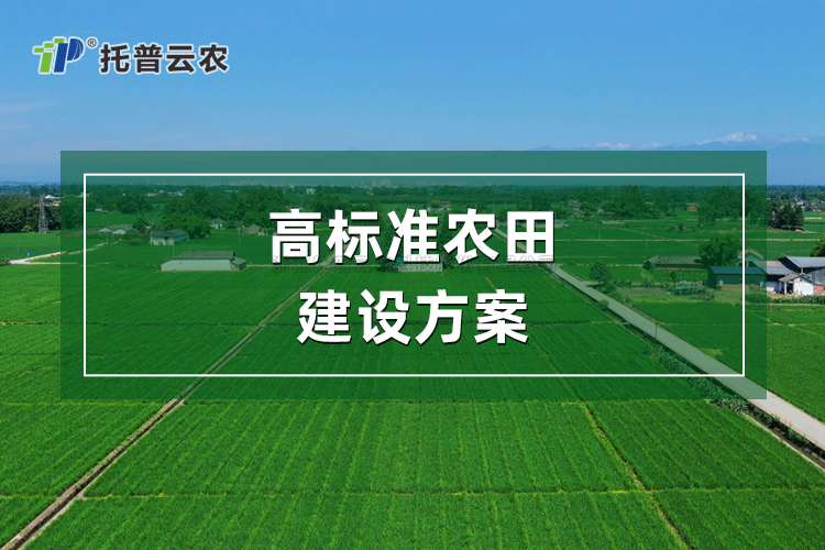 高标准农田建设方案