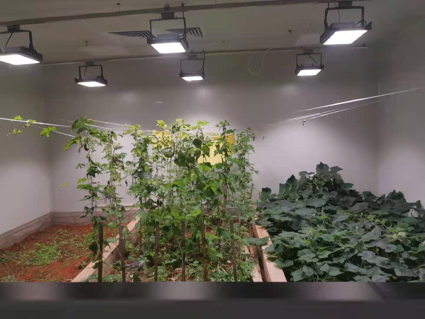 植物组培实验室仪器设备配置清单