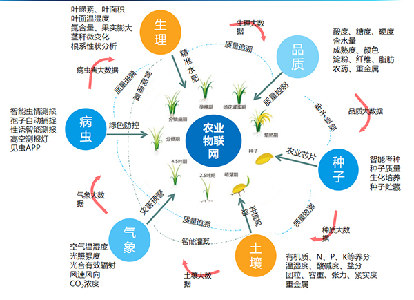 粉色视频官网下载打造的全要素智能采集系统